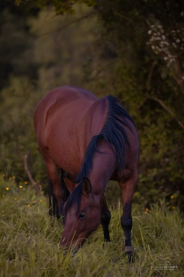 Activité active au pension Fresquiennes