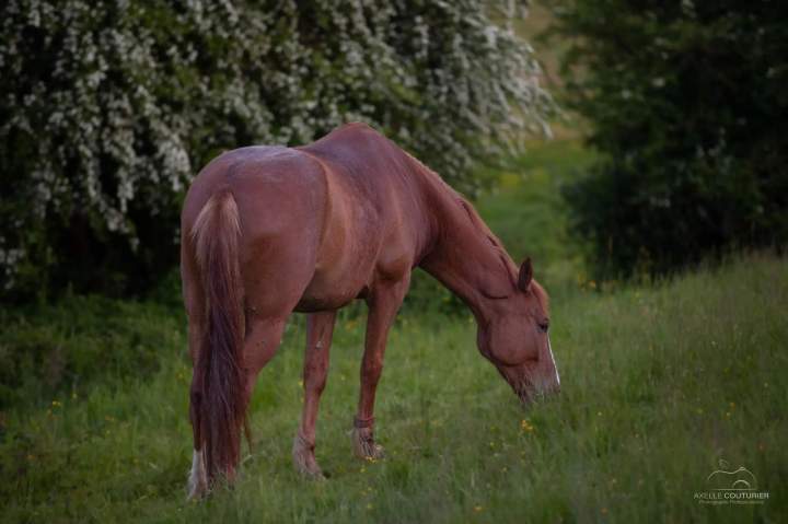 Pension pré Fresquiennes